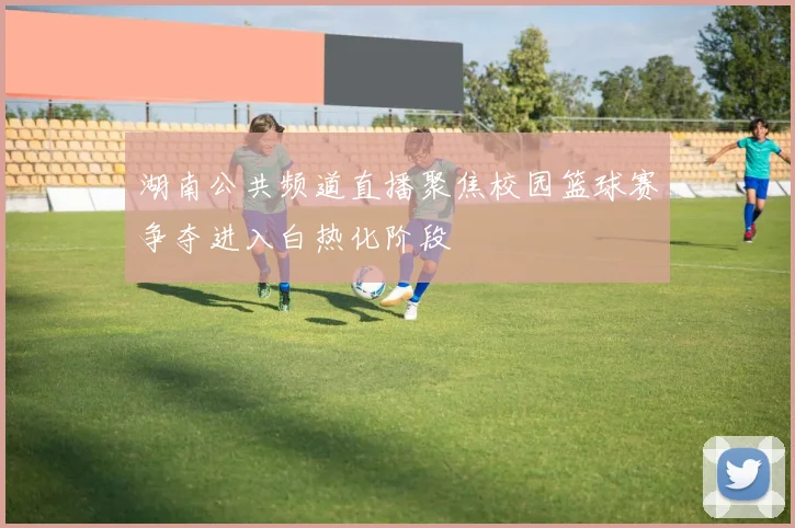 湖南公共频道直播聚焦校园篮球赛争夺进入白热化阶段