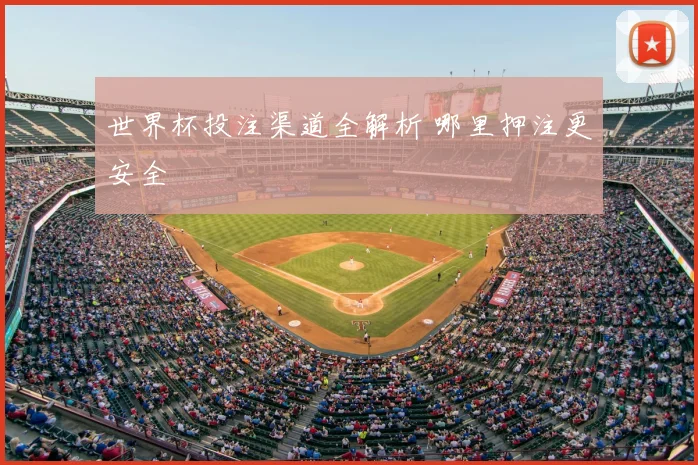 世界杯投注渠道全解析 哪里押注更安全