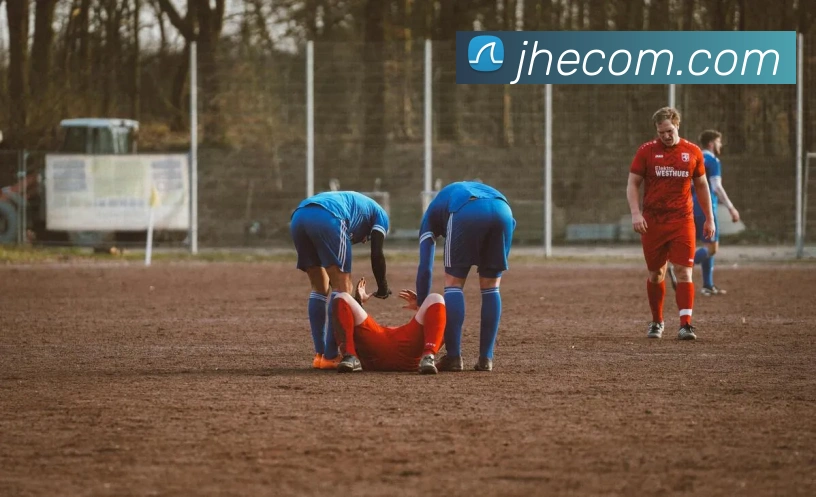 世界杯平台官网登录平台生态图